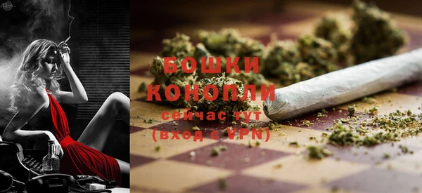 гашик Белоозёрский
