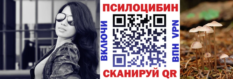 Псилоцибиновые грибы Psilocybine cubensis  Купить  Нарткала 